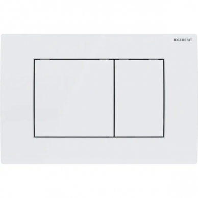 Geberit vandens nuleidimo mygtukas Delta20 Square