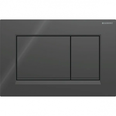 Geberit vandens nuleidimo mygtukas Sigma20 Square 9