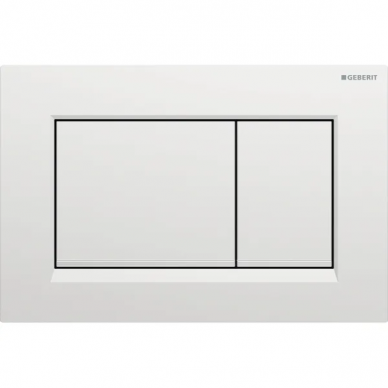 Geberit vandens nuleidimo mygtukas Sigma20 Square 10