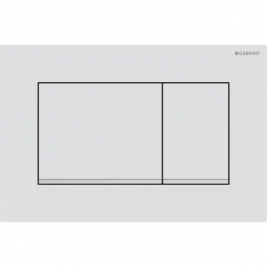 Geberit vandens nuleidimo mygtukas Sigma20 Square 11