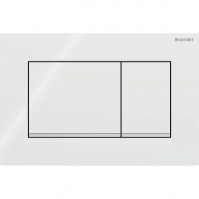 Geberit vandens nuleidimo mygtukas Sigma20 Square