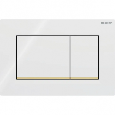 Geberit vandens nuleidimo mygtukas Sigma20 Square 13