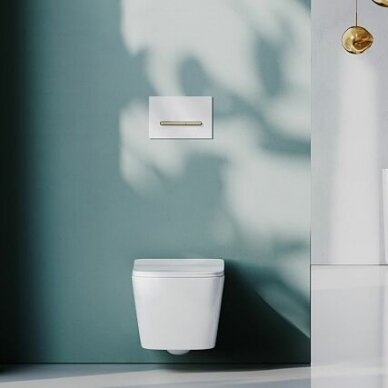 Alca vandens nuleidimo mygtukas Linka 5