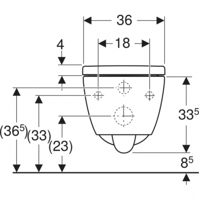 Geberit pakabinamas unitazas iCON TurboFlush 5