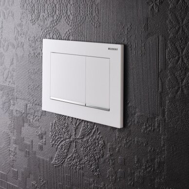 Geberit vandens nuleidimo mygtukas Omega20 Square 5