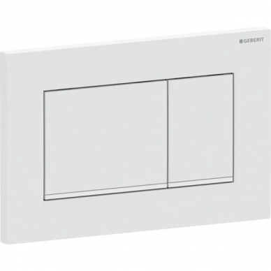 Geberit vandens nuleidimo mygtukas Sigma20 Square 2