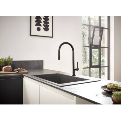Hansgrohe maišytuvas plautuvei su ištraukiama žarna Talis M54 210 5