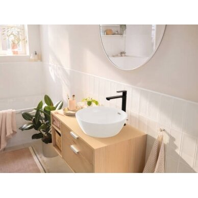 Hansgrohe aukštas maišytuvas praustuvui Rebris S 240 3