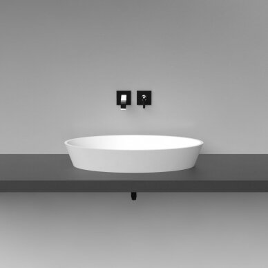 Vispool baldinis praustuvas D2